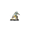 Blood Bowl - Amazon Blood Bowl Team: Kara Temple Harpies