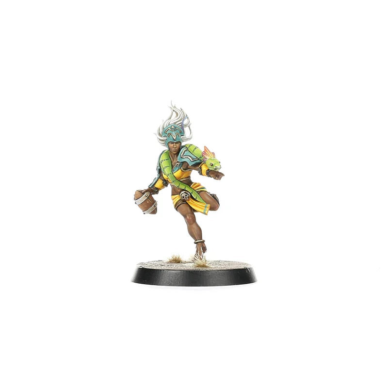 Blood Bowl - Amazon Blood Bowl Team: Kara Temple Harpies