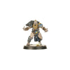 Blood Bowl - Norse Blood Bowl Team: Norsca Rampagers