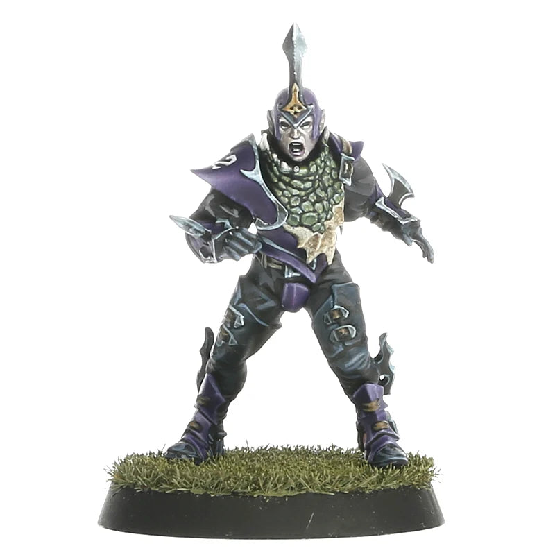 Blood Bowl - Team Dark Elf: Naggaroth Nightmares