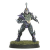 Blood Bowl - Team Dark Elf: Naggaroth Nightmares