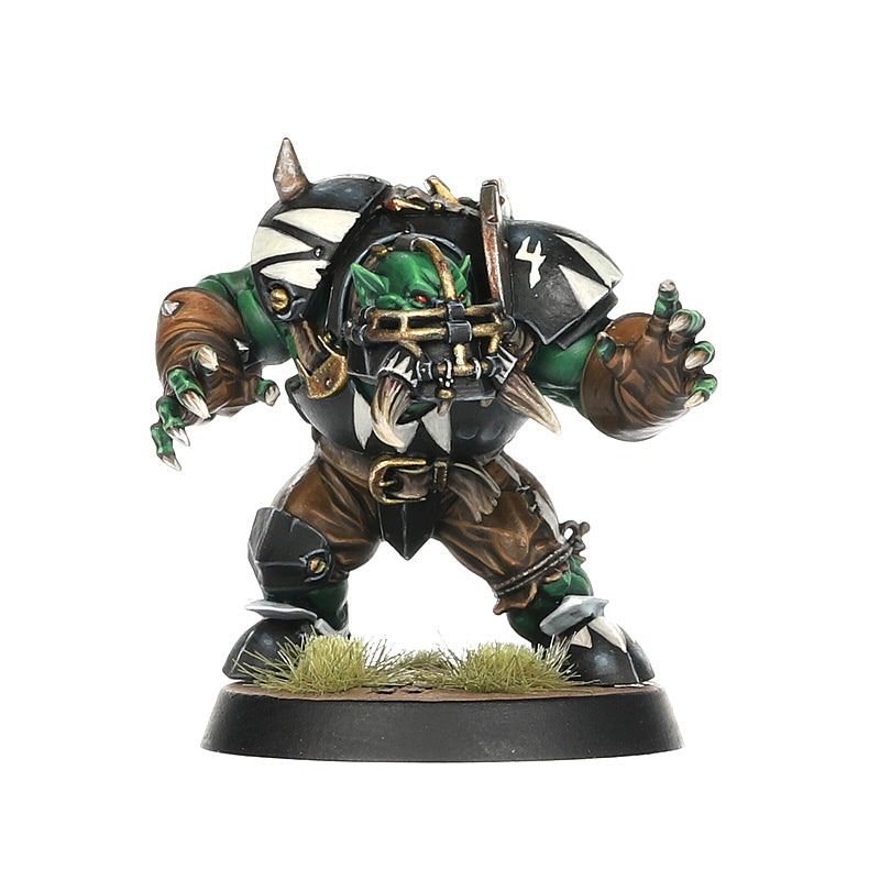 Team Black Orc from Blood Bowl: the Thunder Valley Greenskins