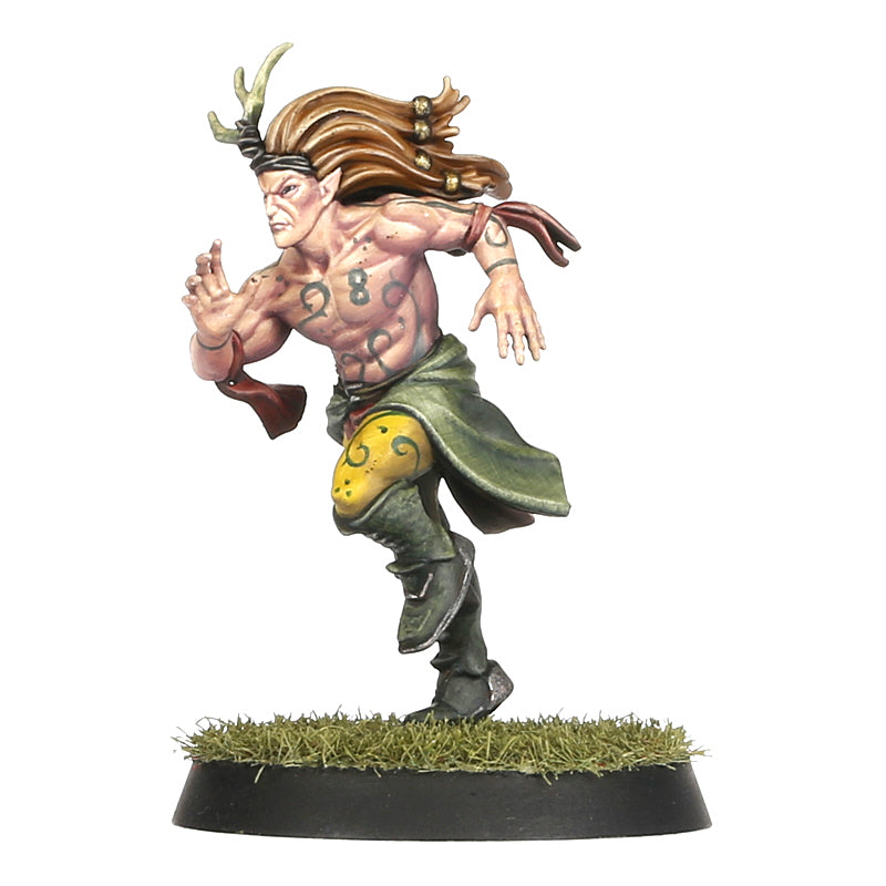 Blood Bowl - Team Wood Elf: The Athelorn Avengers