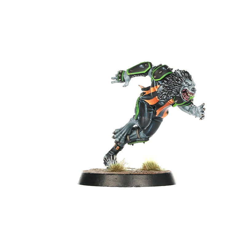 Blood Bowl - Team Necromantic Horror: The Wolfenburg Crypt-Stealers