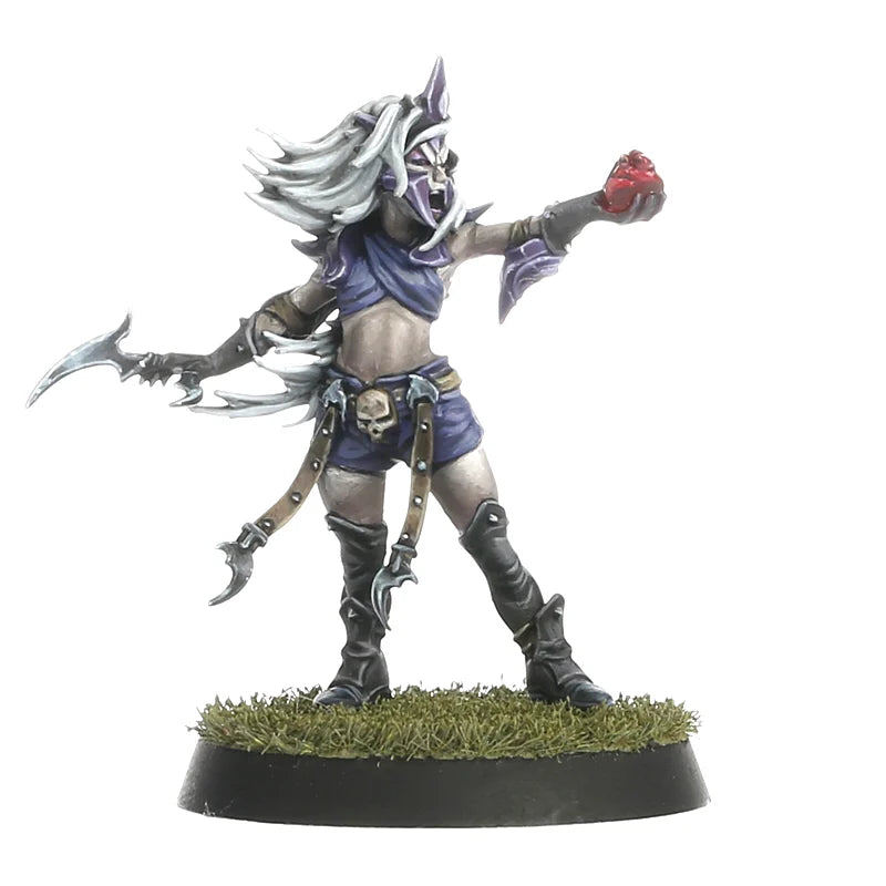 Blood Bowl - Team Dark Elf: Naggaroth Nightmares