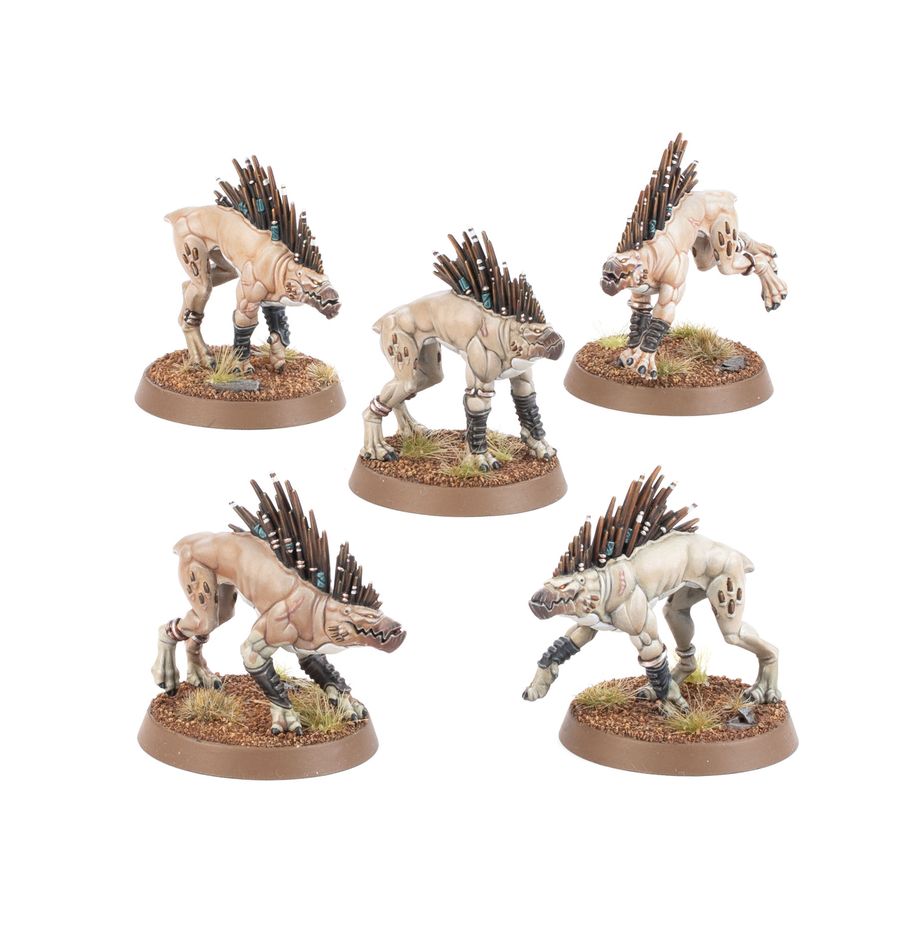 Warhammer 40000 - Kroot Hounds