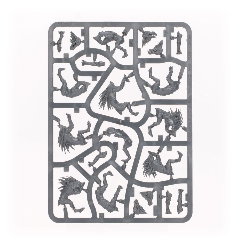 Warhammer 40000 - Kroot Hounds