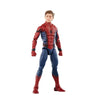 Hasbro - Marvel Legends Series - Spider-Man