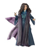 Hasbro - Marvel Legends Series - Agatha Harkness
