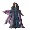 Hasbro - Marvel Legends Series - Agatha Harkness