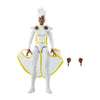 Hasbro - Marvel Legends Series - Storm