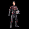 Hasbro - Marvel Legends Series - Ant-Man