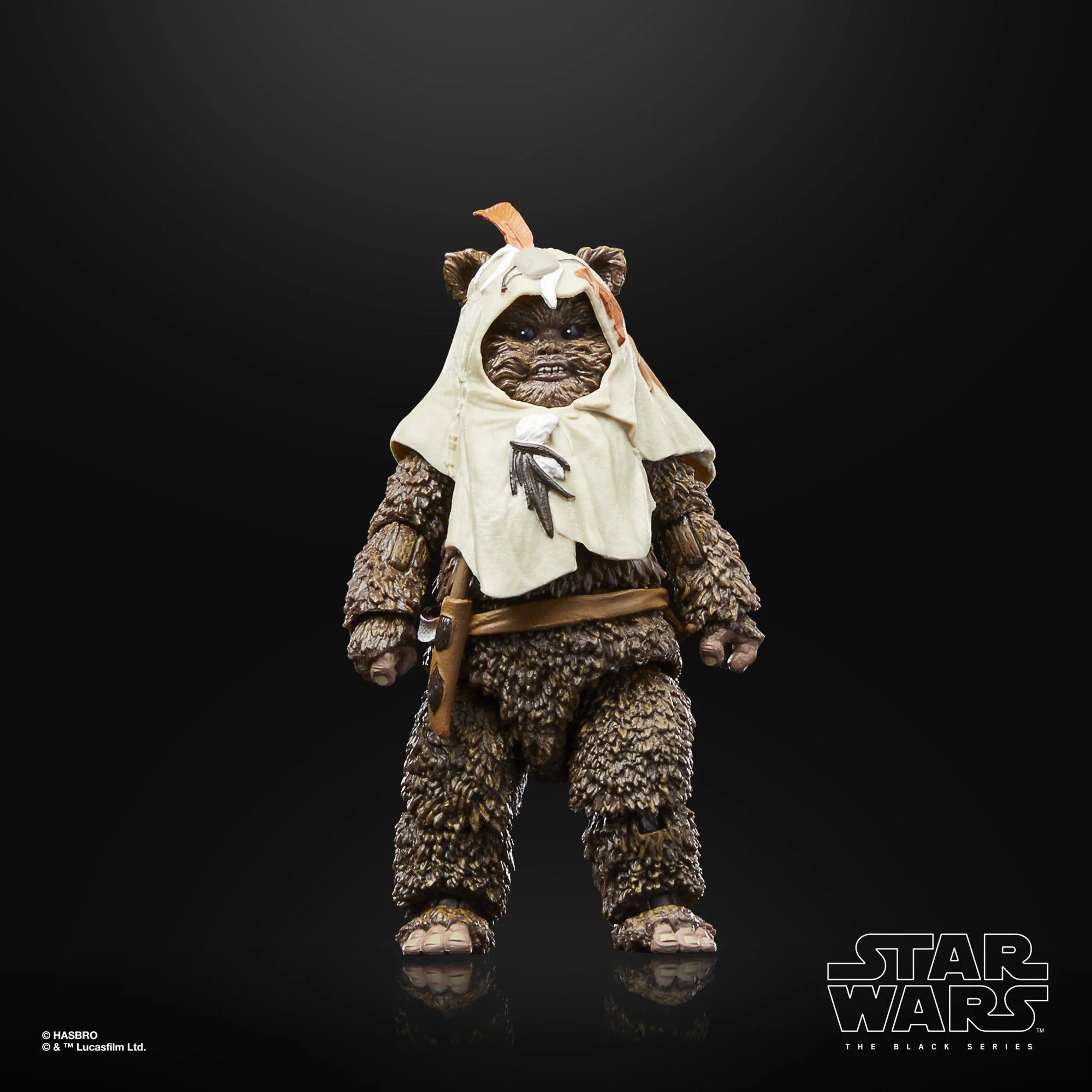 Hasbro - Star Wars - The Black Series - Paploo