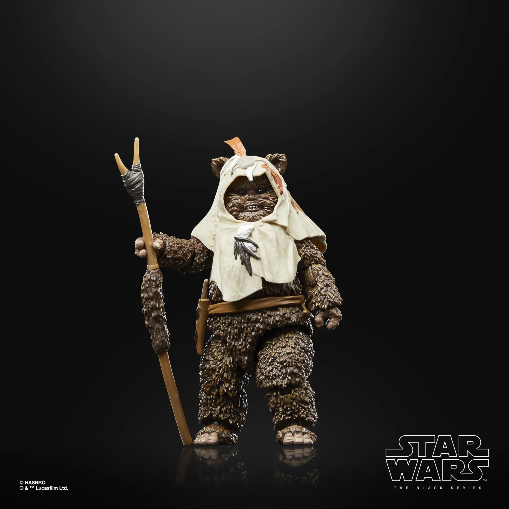 Hasbro - Star Wars - The Black Series - Paploo