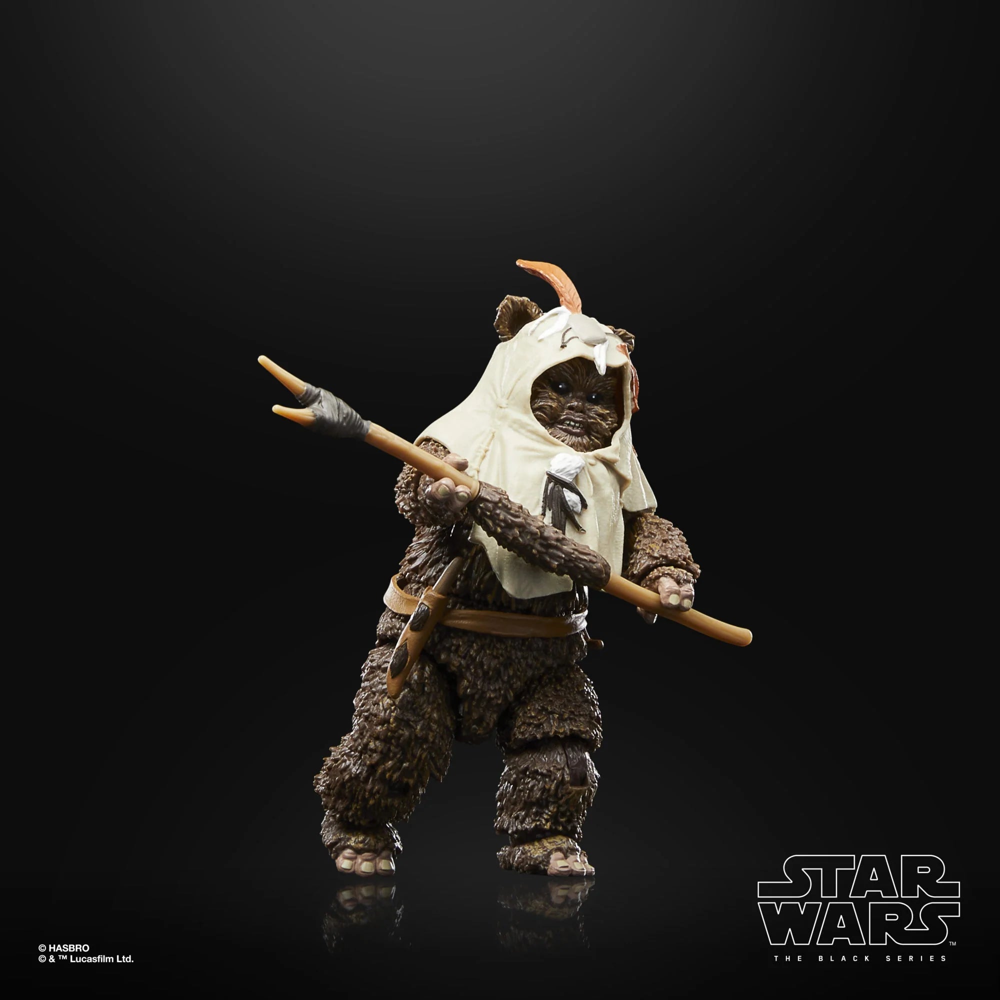 Hasbro - Star Wars - The Black Series - Paploo