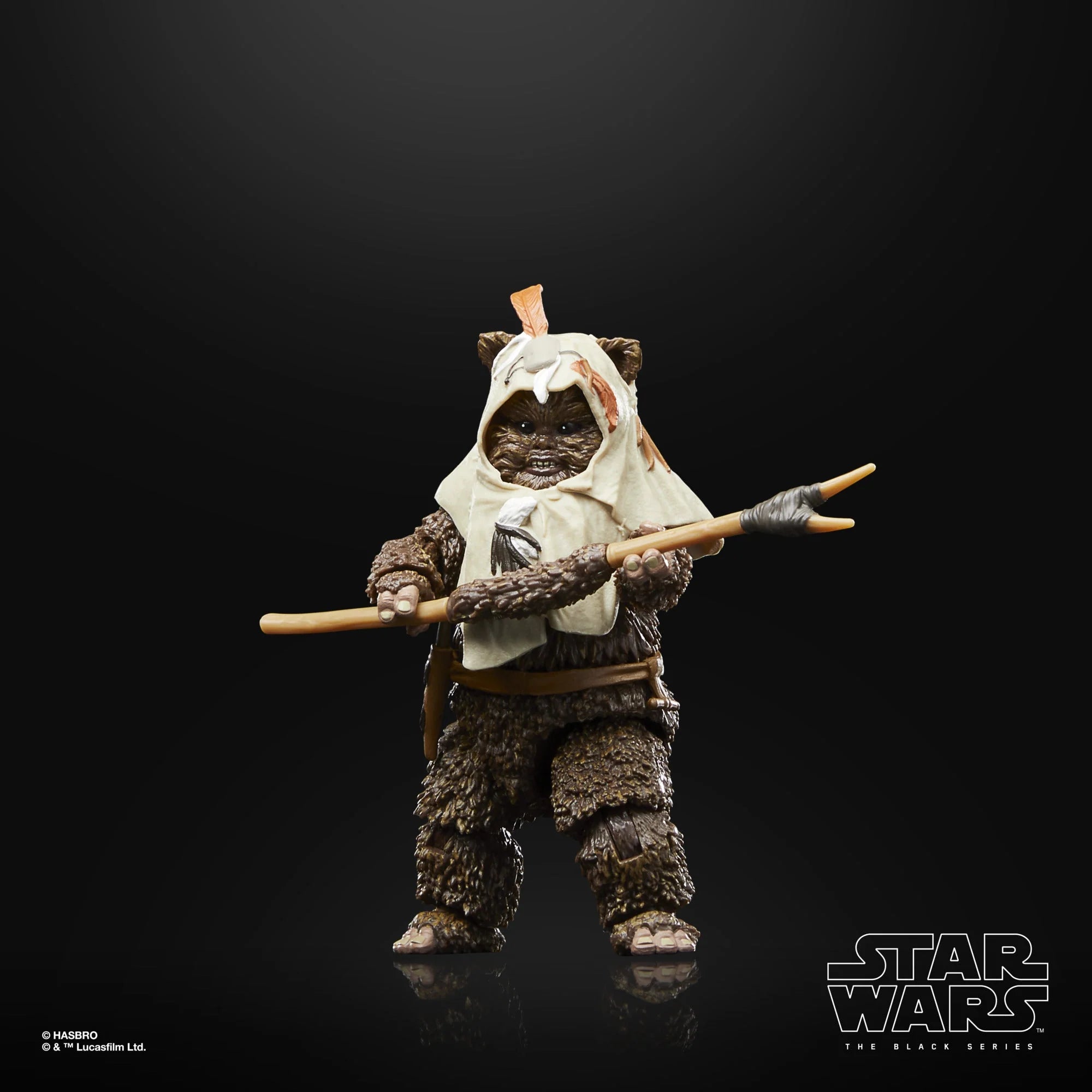 Hasbro - Star Wars - The Black Series - Paploo