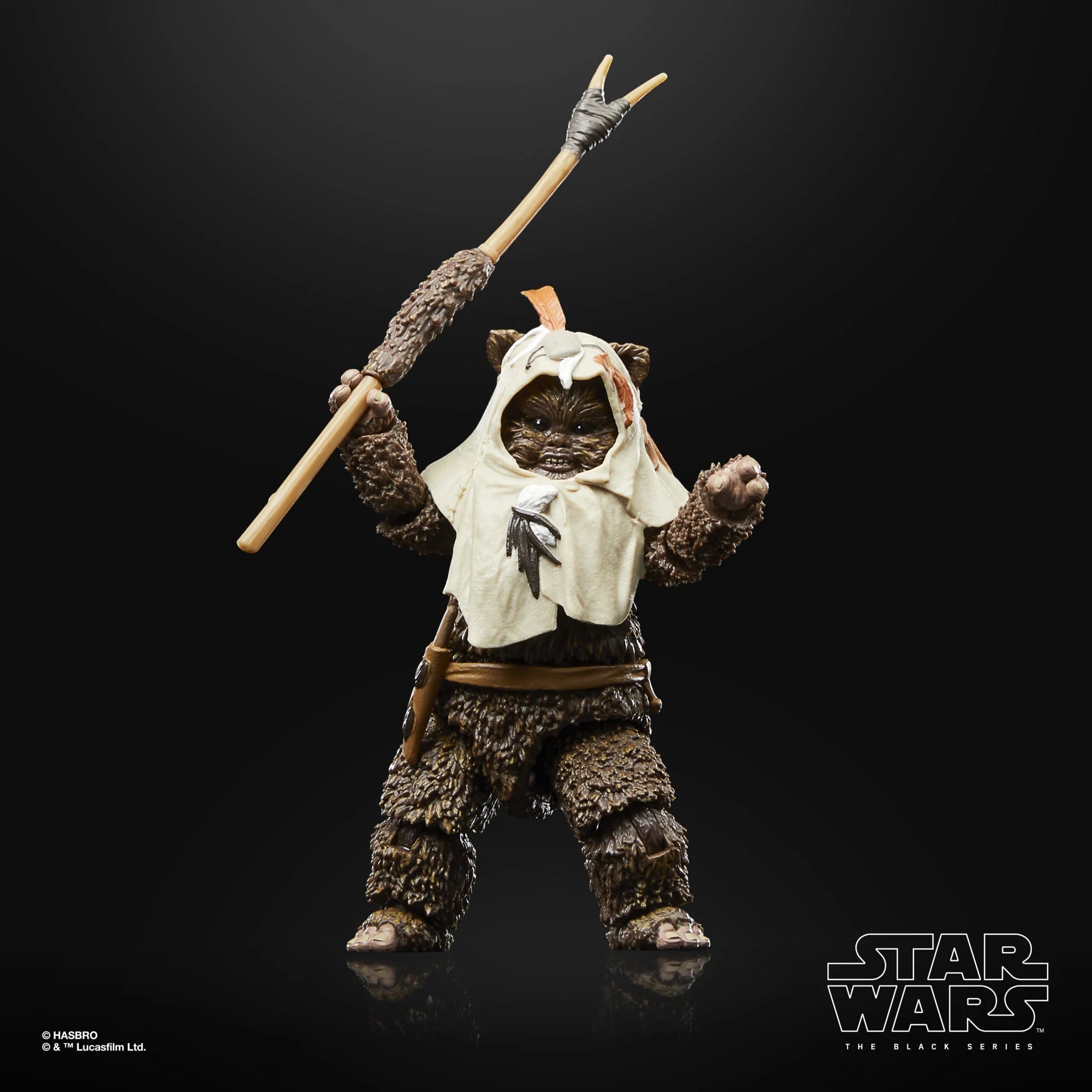 Hasbro - Star Wars - The Black Series - Paploo