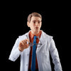 Hasbro - Marvel Legends Series - Gray Hulk and Dr. Bruce Banner