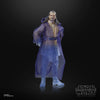 Hasbro - Star Wars The Black Series - Qui-Gon Jinn (Force Spirit)