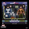 Hasbro - Marvel Legends Series - Gamerverse Punisher and Nick Fury
