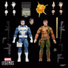 Hasbro - Marvel Legends Series - Gamerverse Punisher and Nick Fury