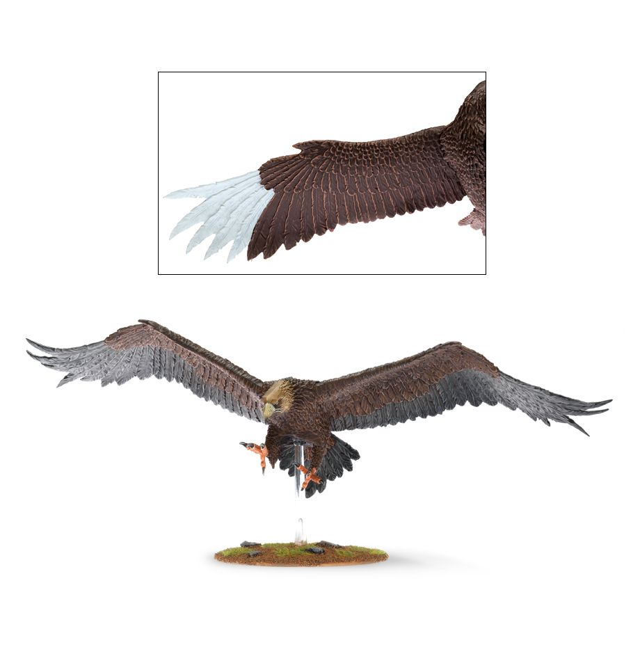 The Middle-Earth - Good - Great Eagles