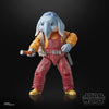 Hasbro Star Wars The Black Series - Skeleton Crew Neel (At Attin)