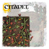 Citadel - Creeping Vines