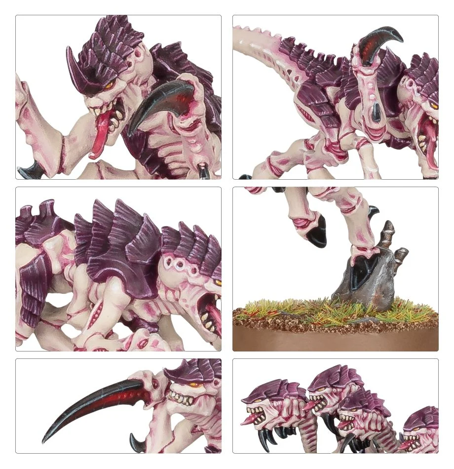 Warhammer 40000 - Tyranids - Hormagaunt