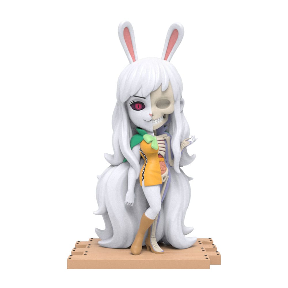 Mighty Jaxx - One Piece - Blind Box Hidden Dissectibles Series 5 (Ladies ed.) Display (6)