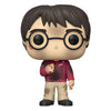 Harry Potter POP! Movies Vinyl Figure Harry w/The Stone 9cm