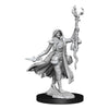 Dungeons & Dragons Frameworks Miniature Model Kit Human Druid Female