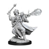 Dungeons & Dragons Frameworks Miniature Model Kit Human Wizard Evil