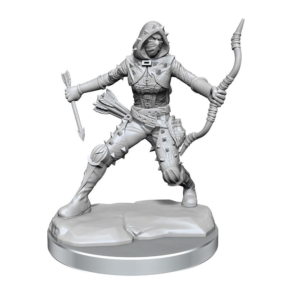 Dungeons & Dragons Frameworks Miniature Model Kit Human Rogue Female