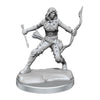 Dungeons & Dragons Frameworks Miniature Model Kit Human Rogue Female