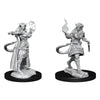 D&D Nolzur's Marvelous Miniatures Unpainted Miniatures Tiefling Sorcerer Female