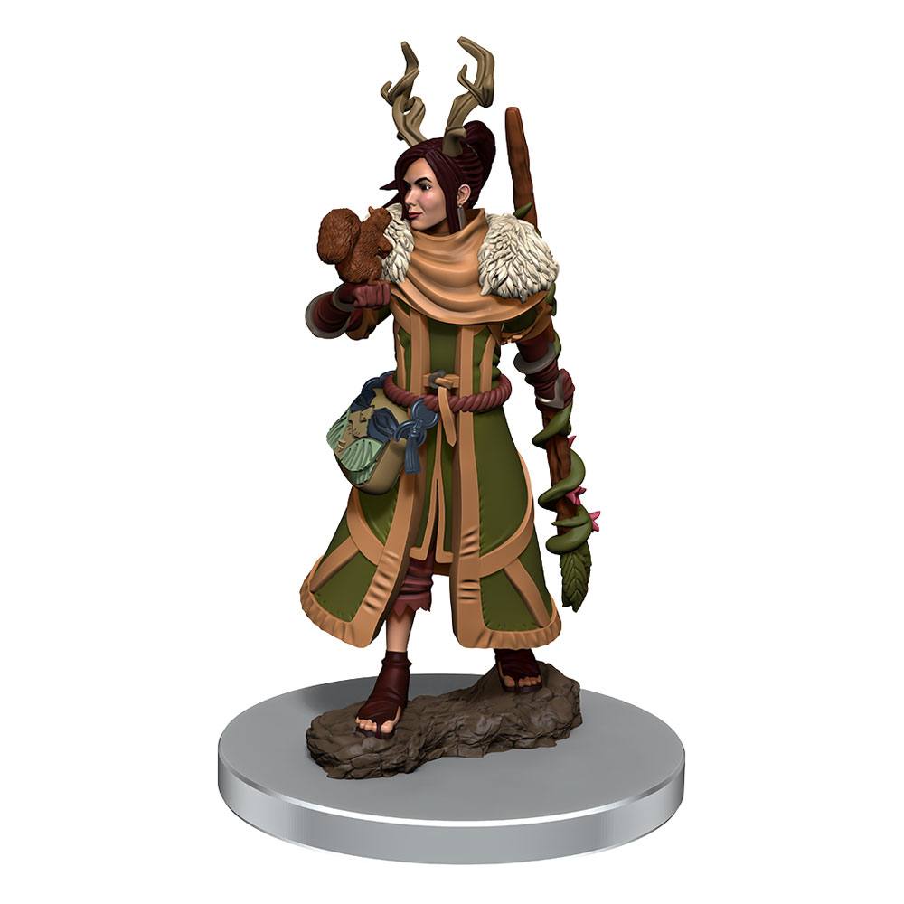 D&D Icons of the Realms Premium Miniature Pre-Painted Female Human Druid
