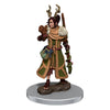 D&D Icons of the Realms Premium Miniature Pre-Painted Female Human Druid