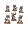 Warhammer 40000 - Champions of Slaanesh – Emperor's Children - Army Set (Italiano)