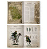 The Old World - Wood Elf Realms - Arcane Journal - ENG