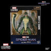 Hasbro - Marvel Legends Series - Spider-Man: No Way Home