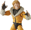 Hasbro Marvel Legends Series X-Men Sabretooth 6-Inch Collectible Action Figure