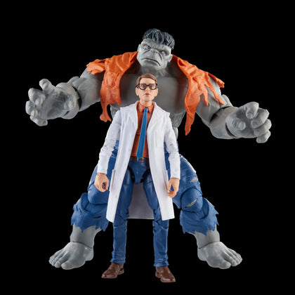 Hasbro - Marvel Legends Series - Gray Hulk and Dr. Bruce Banner