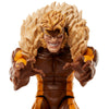 Hasbro - Marvel Legends Series - Marvel's Logan vs Sabretooth