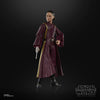 Hasbro - Star Wars - The Black Series - Padmé Amidala