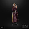 Hasbro - Star Wars - The Black Series - Padmé Amidala