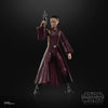 Hasbro - Star Wars - The Black Series - Padmé Amidala