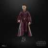 Hasbro - Star Wars - The Black Series - Padmé Amidala