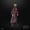 Hasbro - Star Wars - The Black Series - Padmé Amidala