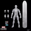 Hasbro - Marvel Legends Series - Silver Surfer